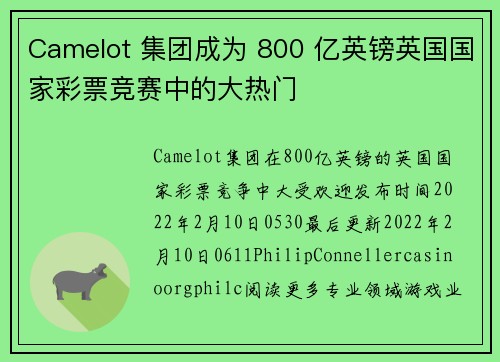 Camelot 集团成为 800 亿英镑英国国家彩票竞赛中的大热门